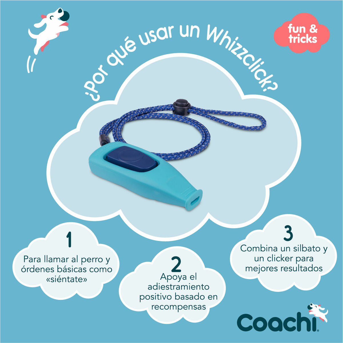 Whistle Coachi-5