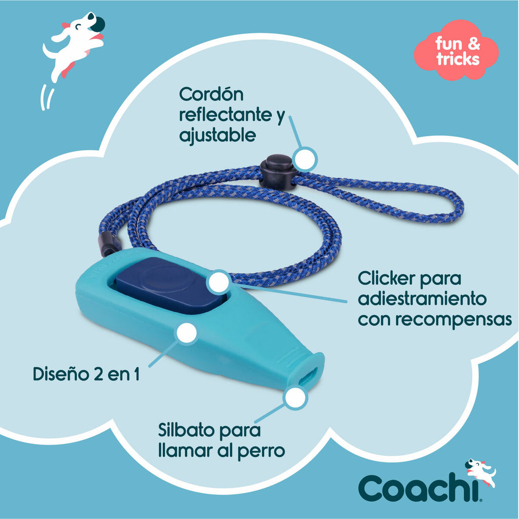 Whistle Coachi-4