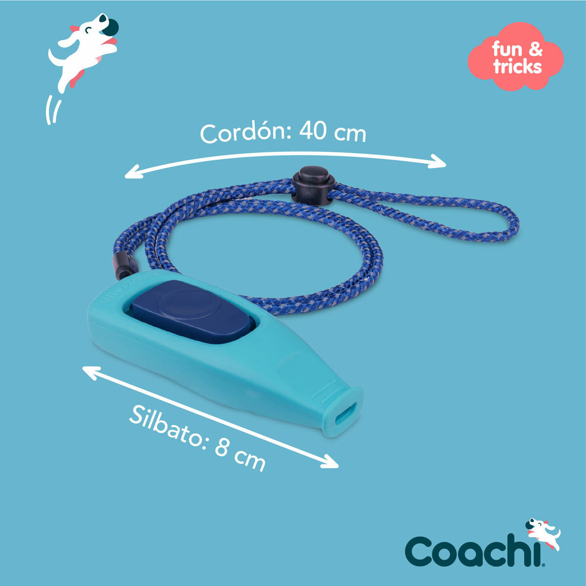 Whistle Coachi-3