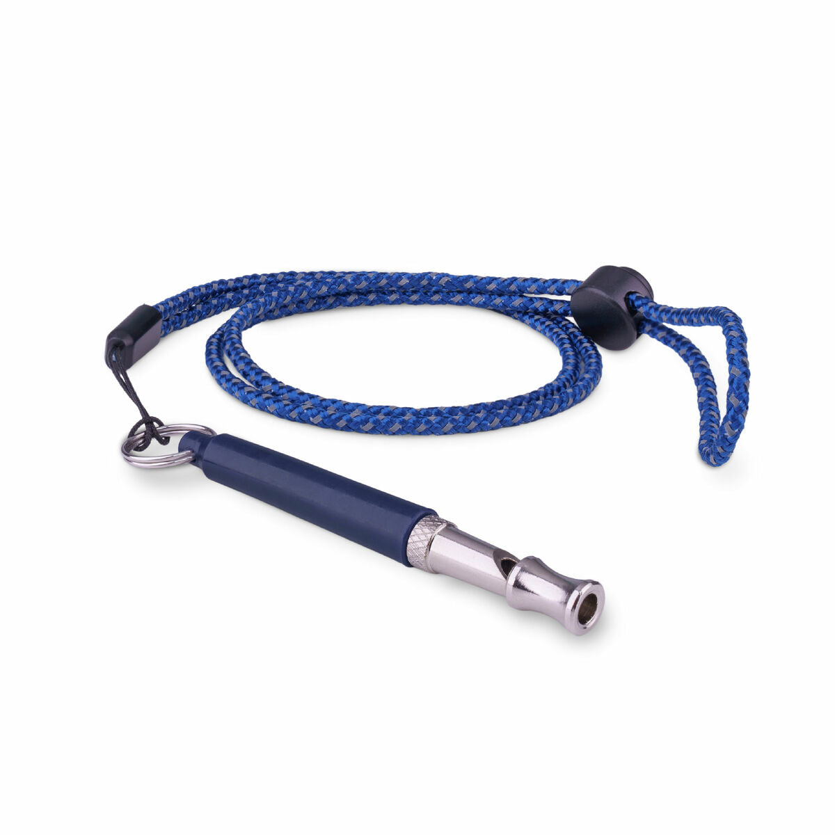 Whistle Coachi Blue-2