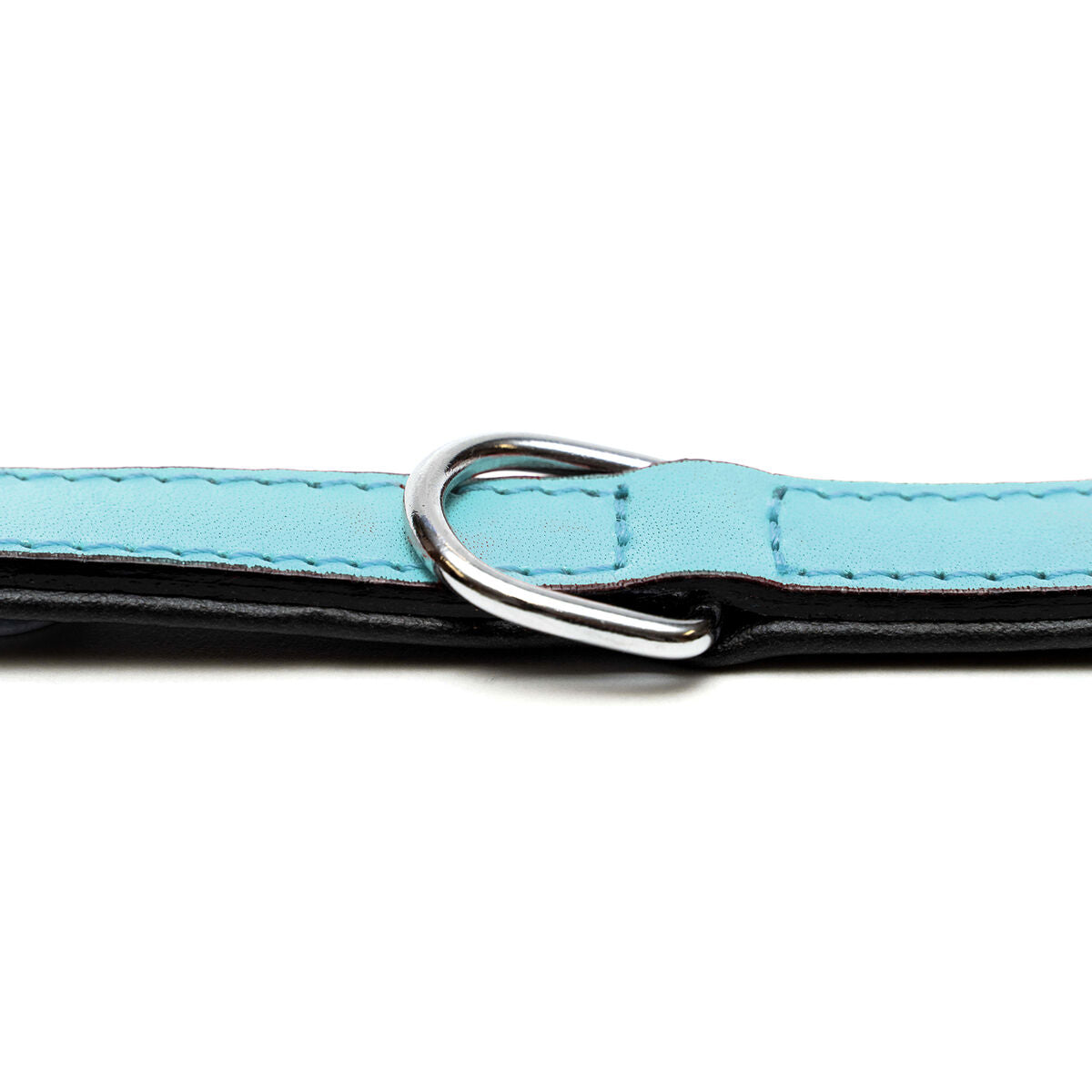 Dog collar Gloria 30 cm Padded Leather Blue-6